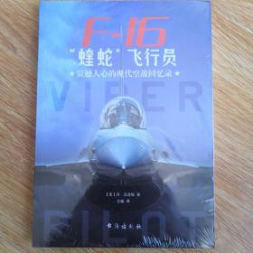 F-16“蝰蛇”飞行员 : 震撼人心的现代空战回忆录