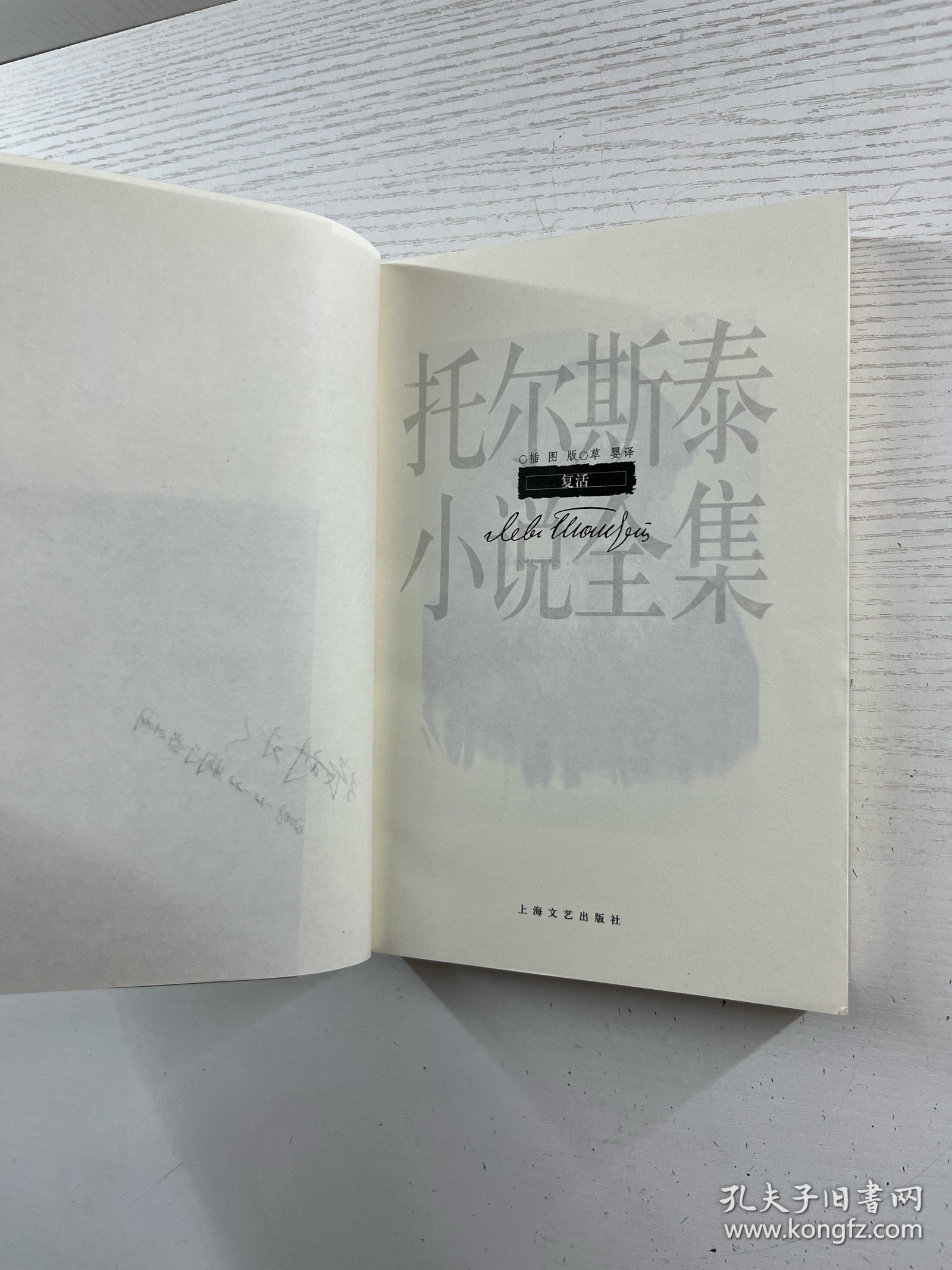 复活 （插图版）托尔斯泰小说全集（草婴译）正版如图、内页干净