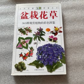 盆栽花草：365种观赏植物的彩色图鉴