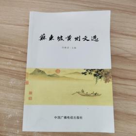 黄石广播影视优秀作品选. 论文卷 : 全2册