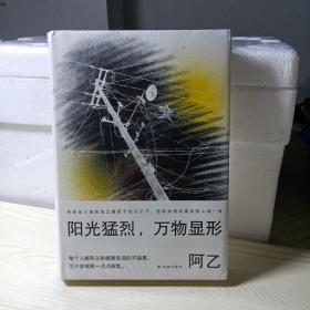 阳光猛烈，万物显形（作家阿乙的人生词典，歌手李健推荐：“阿乙人有趣，作品精彩，这本随笔，写得生动而精简。” ）