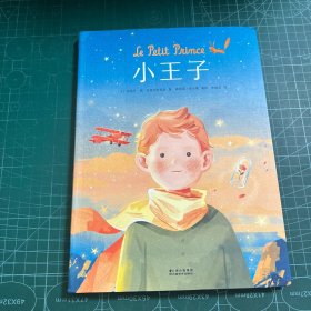 小王子漫画（畅销350万册的作者基金会指定中文版改编，“金海豚奖”作品）