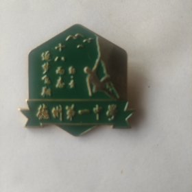 山东德州第一中学，十八而志，逐梦飞翔成人礼牌