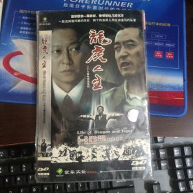 电视剧：龙虎人生 4DVD