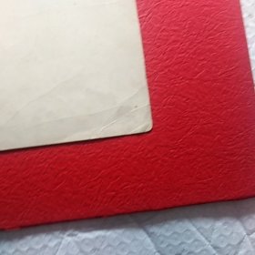 老照片，风华正茂，四化展宏图纪念革命卅周年，长春市公安局