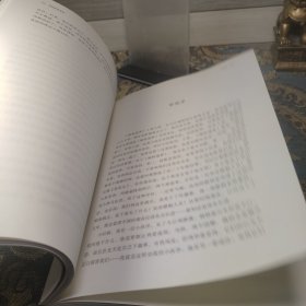 王小波文集·第七卷·杂文集：我的精神家园