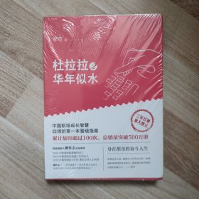 杜拉拉2：华年似水