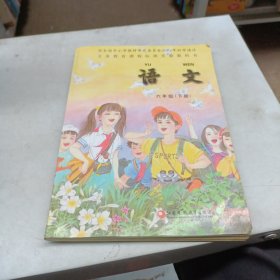 语文 六年级 下册