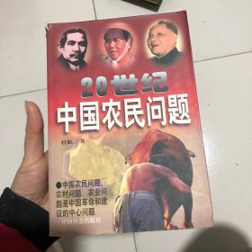 20世纪中国农民问题