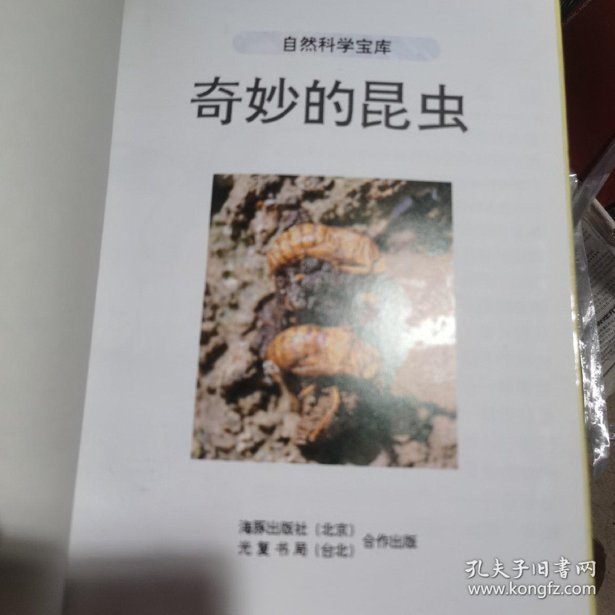 自然科学宝库 奇妙的昆虫