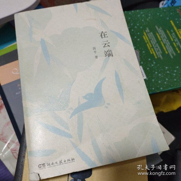 在云端（知名影视剧制片人、儿童文学作家患癌期间的生活故事，有关绝望与坚持，失去与得到）