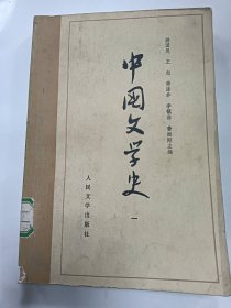 中国文学史（一）普通图书/国学古籍/社会文化100191744