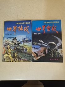 世界空战 世界陆战 2册合售