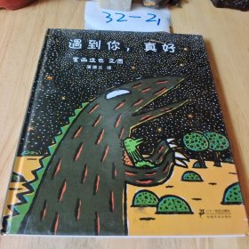 遇到你，真好：蒲蒲兰绘本馆 精装