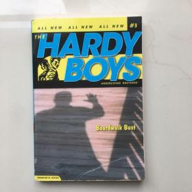 Hardy Boys #3 Boardwalk Bust 哈迪男孩3：珠宝劫案