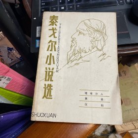 泰戈尔小说选