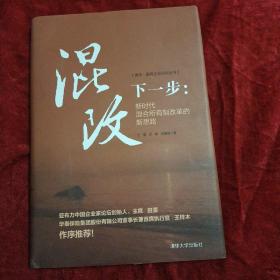 混改下一步：新时代混合所有制改革的新思路