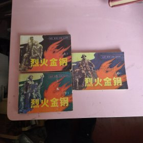 烈火金刚 上中下（连环画）