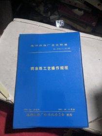 株洲冶炼厂企业标准：铜冶炼工艺操作规程