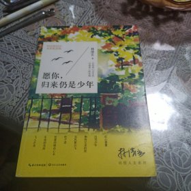 愿你，归来仍是少年