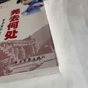 羌去何处:紧急保护羌族文化遗产专家建言录