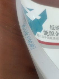 低碳经济与能源企业发展：第四届中国能源战略国际论坛文集