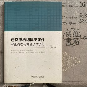 违反廉洁纪律类案件审查流程与调查谈话技巧.丁伟著（中国方正社版，2016年一版一印）