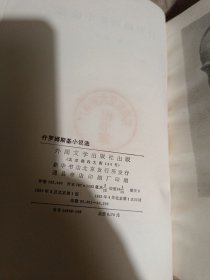 什罗姆斯基小说选