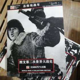 图文第二次世界大战史 全39卷 存38册 缺第一册