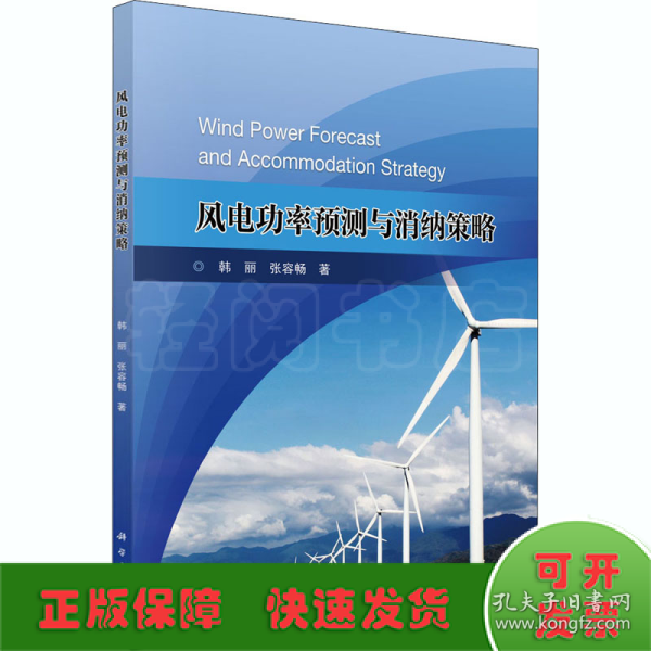 风电功率预测与消纳策略