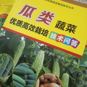 现代蔬菜优质高效栽培技术丛书（全十一册）