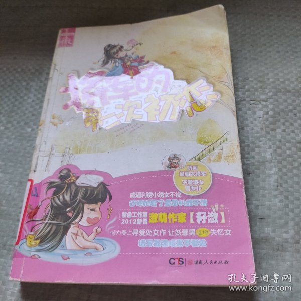 将军的第二次初恋