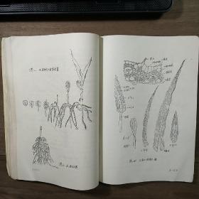 西北农学院【植保、农化、农经专业试用教材】《作物栽培学》上、下两册一套全，内容丰富，内页干净，品相好！