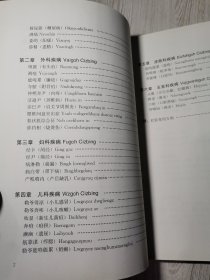 壮医病证诊疗规范/中国东盟传统医药文库