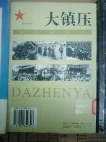 大镇压:反革命归案伏法纪实