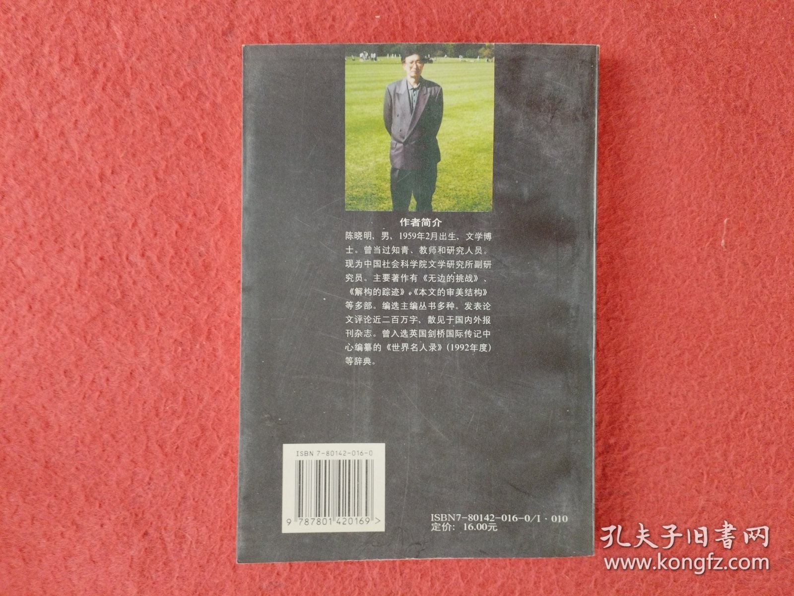 剩余的想象:九十年代的文学叙事与文化危机【钤印签赠本】实物拍图