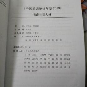 中国能源统计年鉴2019