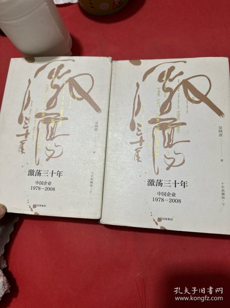 吴晓波企业史 激荡三十年：中国企业1978—2008（十年典藏版）（套装共2册）