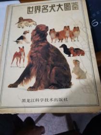 世界名犬大图鉴