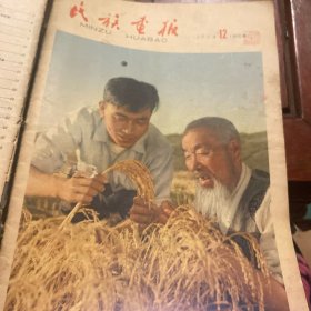 民族画报1964年12期