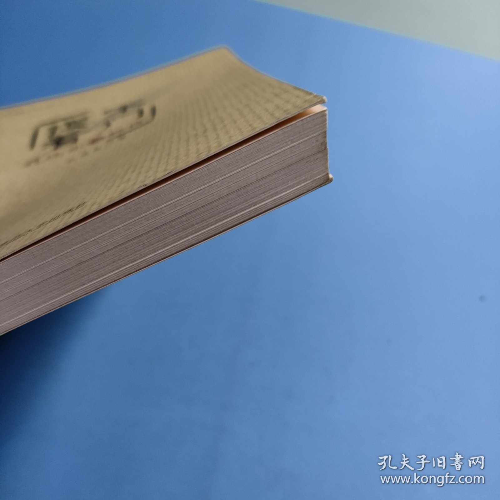 摸不着门——孔庆东谈教育