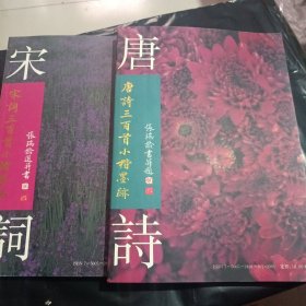 宋词三百首小楷墨迹十唐诗三百首小楷墨迹 两本