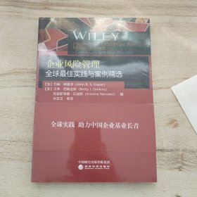 企业风险管理全球最佳实践与案例精选