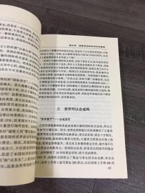 狙击风暴:人民币汇率走势与反危机【馆藏书】