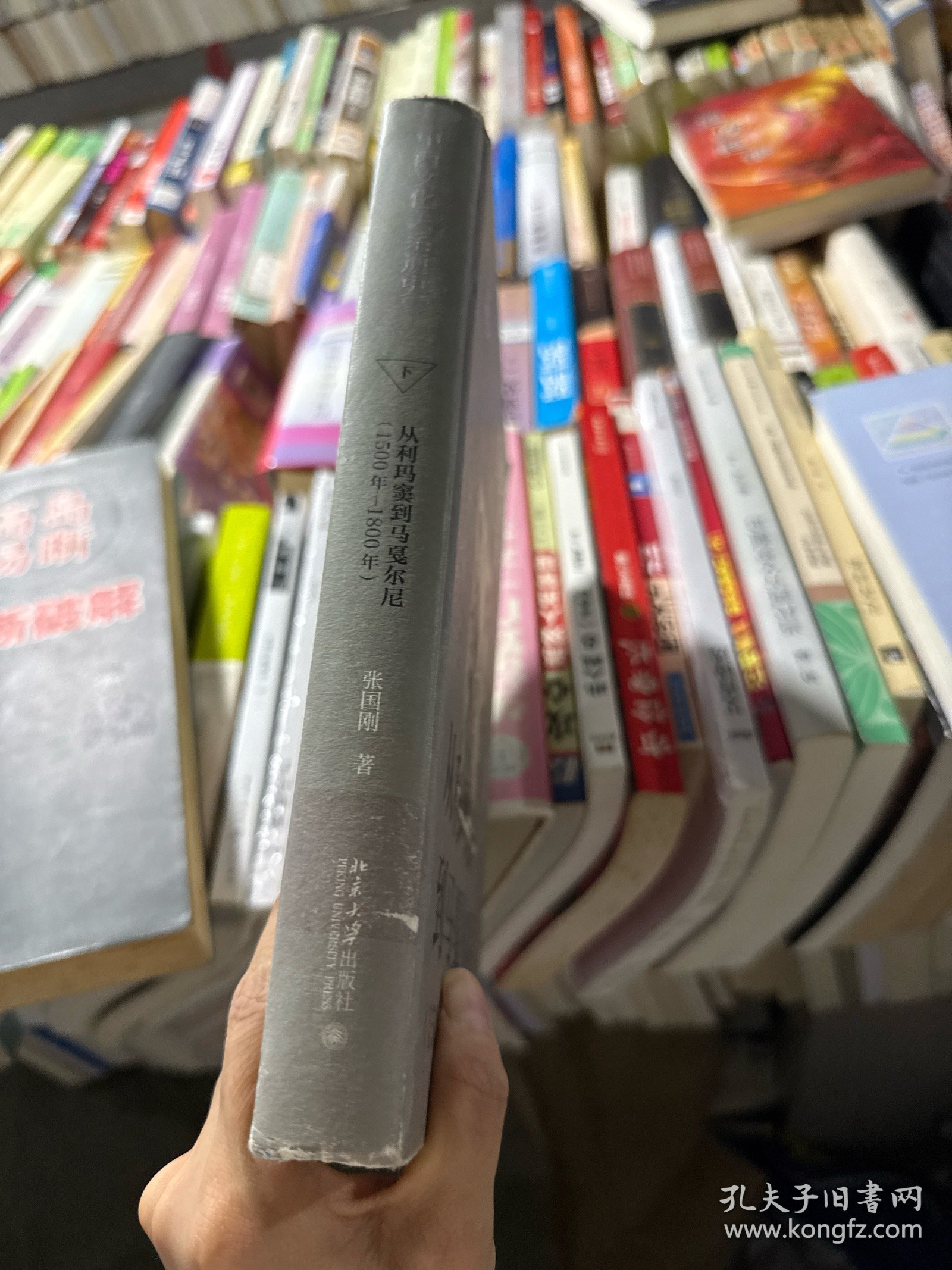 中西文化关系通史（下册）