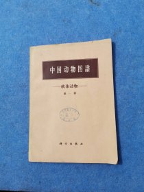 中国动物图谱 软体动物 第一册