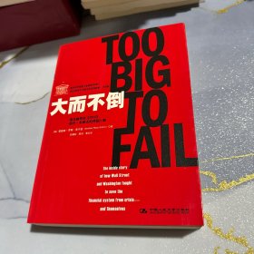 大而不倒：2010年全球政要和首席执行官争相阅读的金融危机启示录