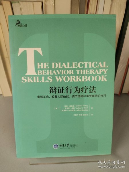 辩证行为疗法：掌握正念、改善人际效能、调节情绪和承受痛苦的技巧