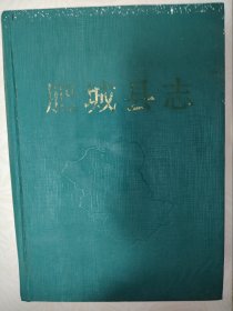 肥城县志