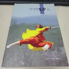 人文中国：中国功夫